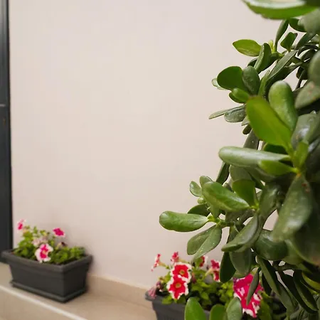 Appartement G&k House Garden